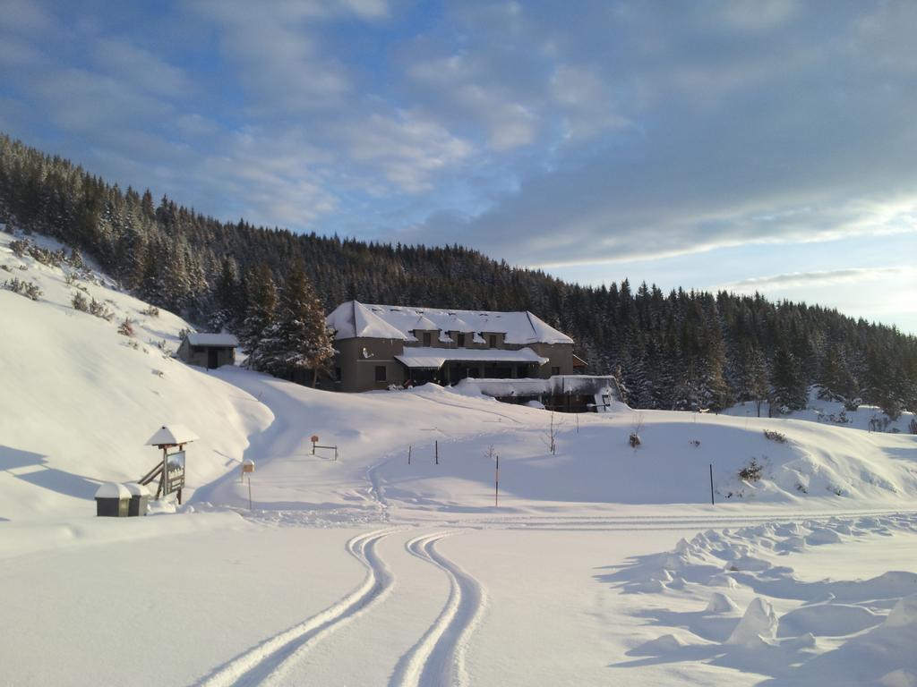 Gite Chalet Du Soulor Arrens-Marsous Exterior foto